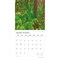 America the Beautiful | 2026 12 x 24 Inch (Hanging) Monthly Square Wall Calendar | Foil Stamped Cover